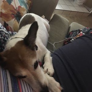 Meet your Posher, Haley